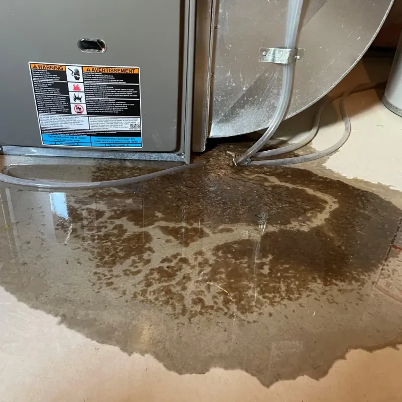 Appliance Leak Cleanup in Powder Springs, GA